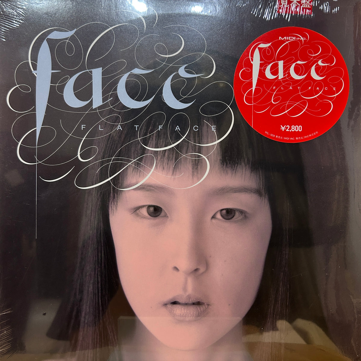 FLAT FACE - FACE