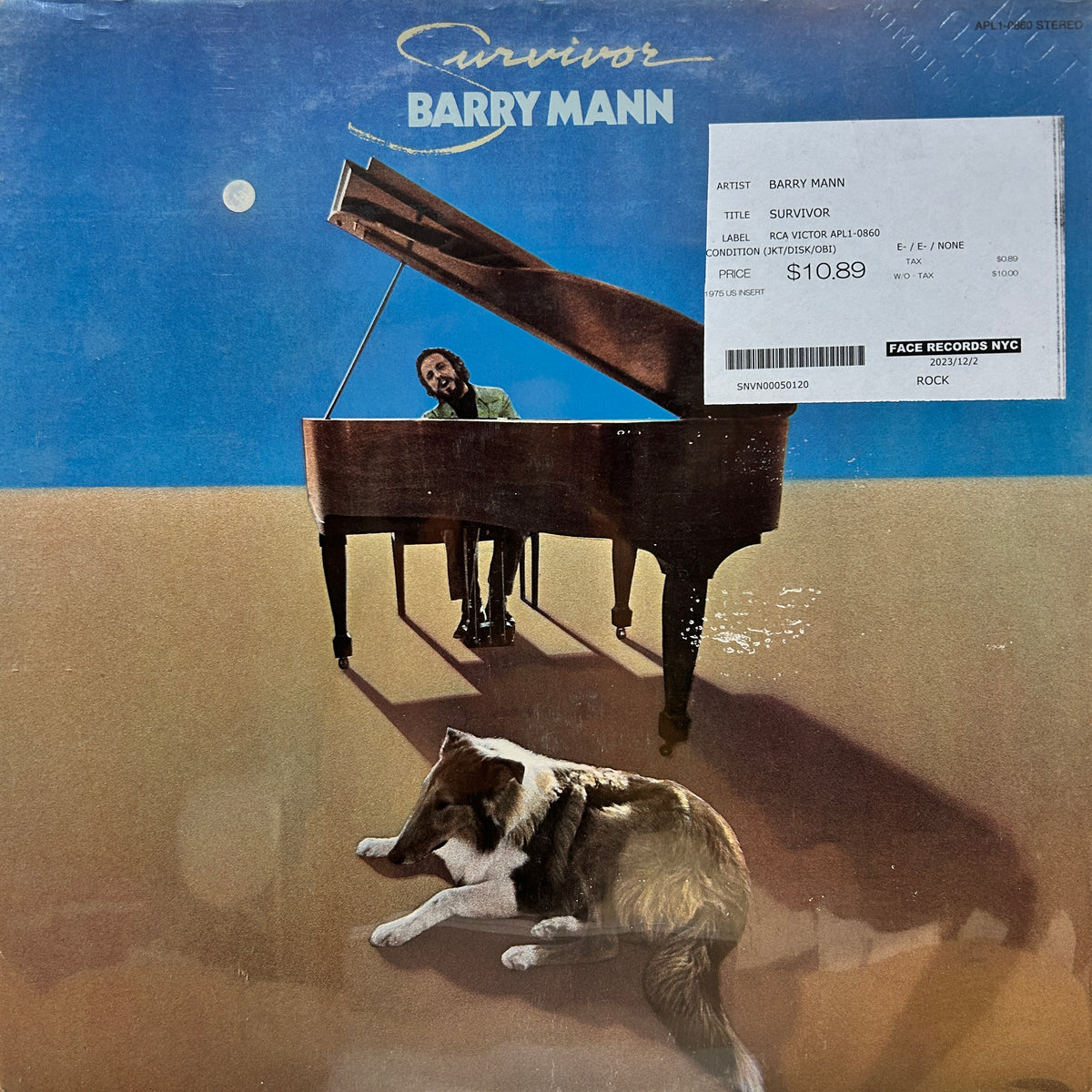BARRY MANN - SURVIVOR