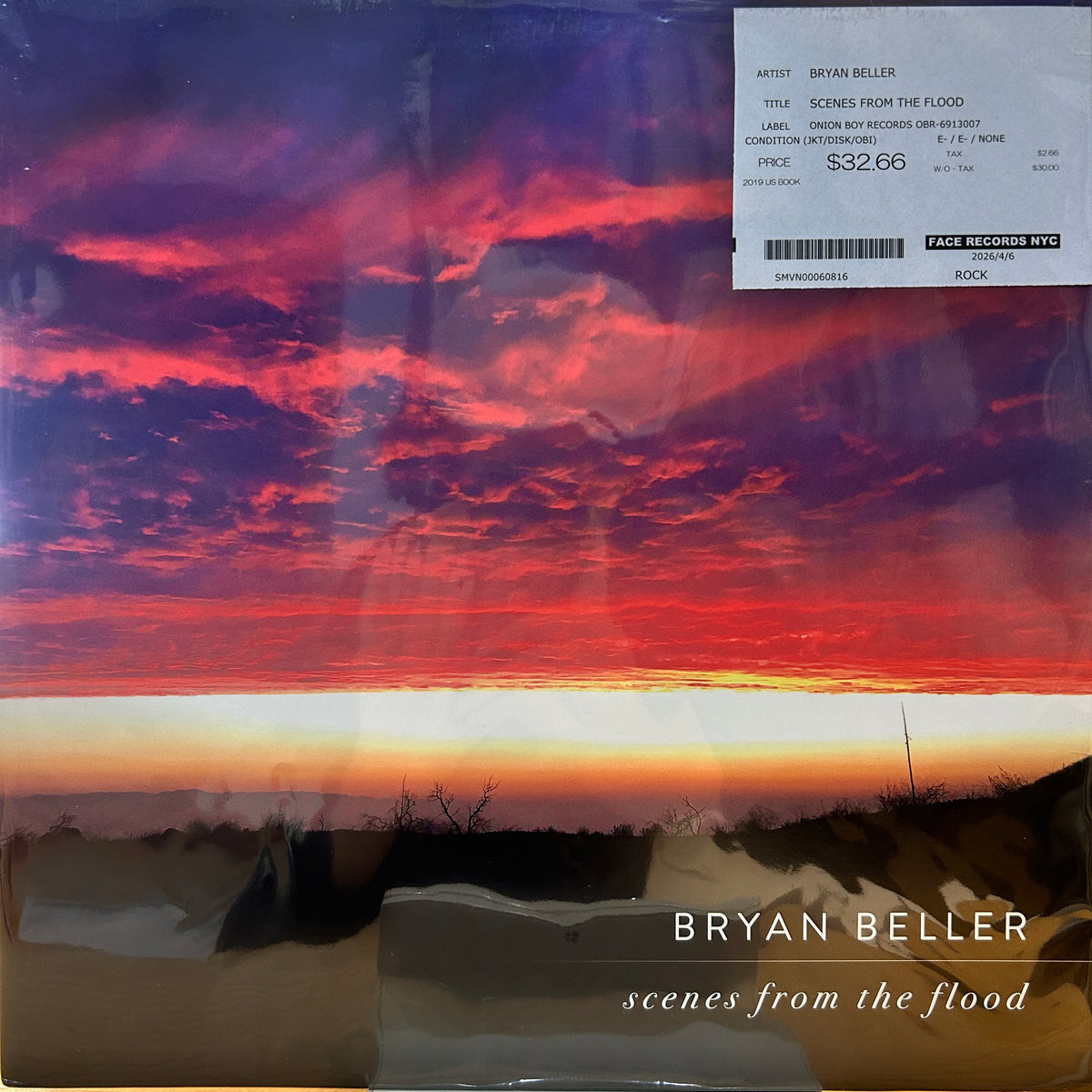 BRYAN BELLER - SCENES FROM THE FLOOD