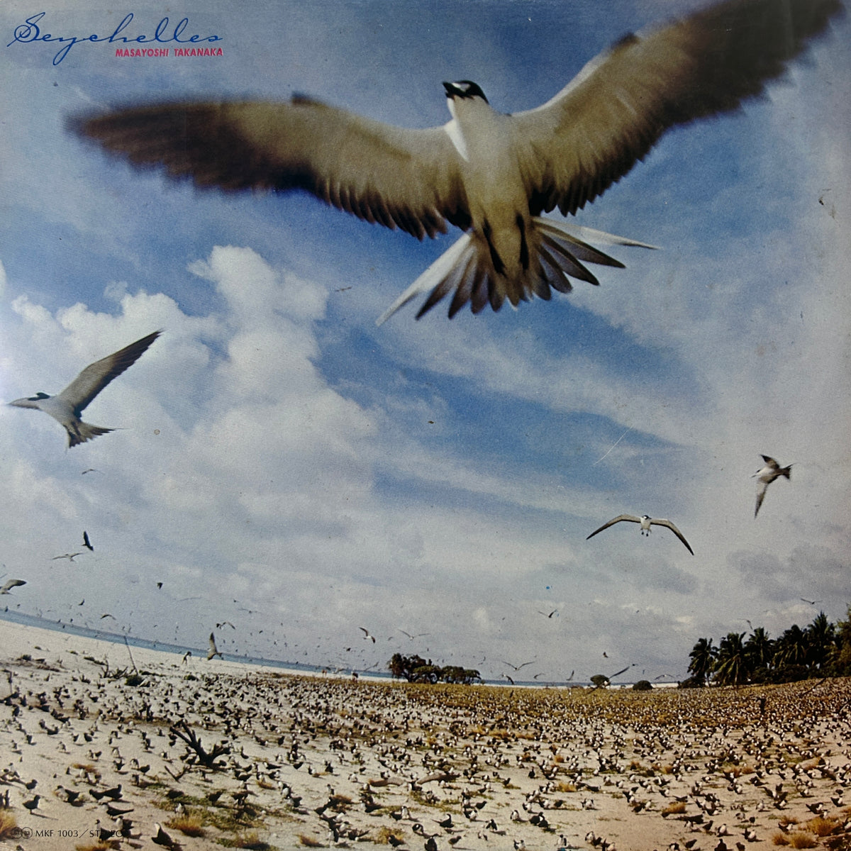 MASAYOSHI TAKANAKA - SEYCHELLES