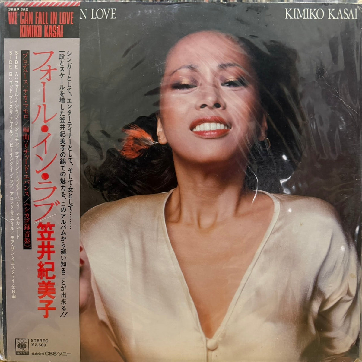KIMIKO KASAI - WE CAN FALL IN LOVE