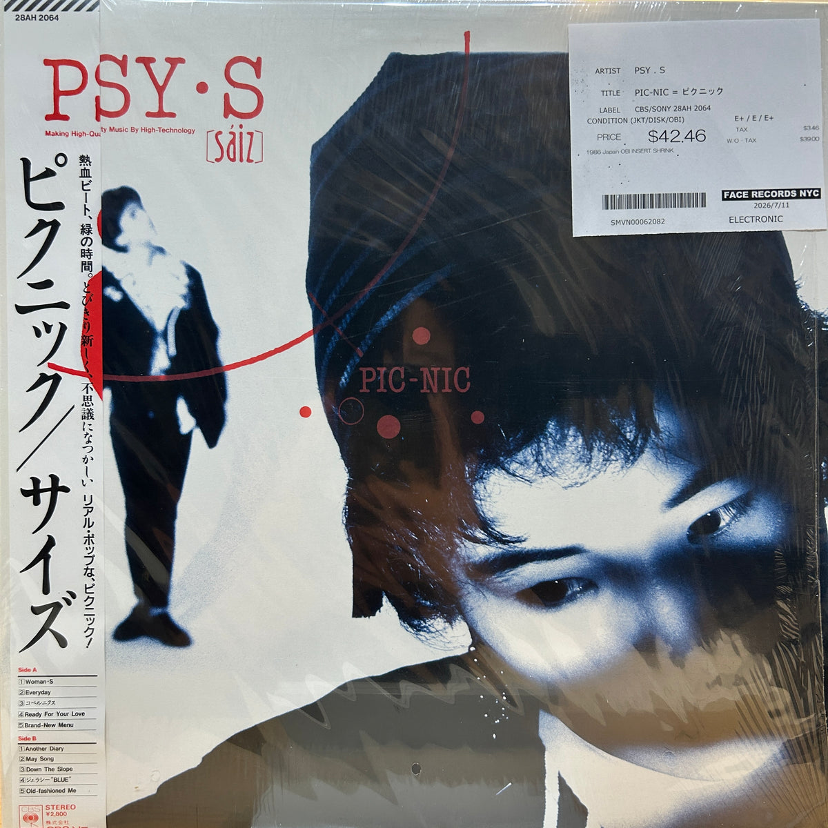 PSY . S - PIC-NIC = ピクニック