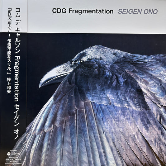 SEIGEN ONO - CDG FRAGMENTATION