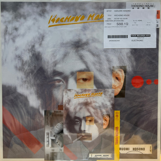 HARUOMI HOSONO - HOCHONO HOUSE