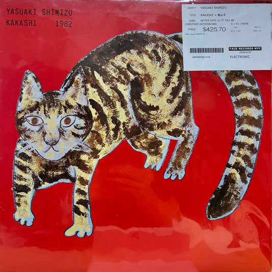 YASUAKI SHIMIZU - KAKASHI = 案山子