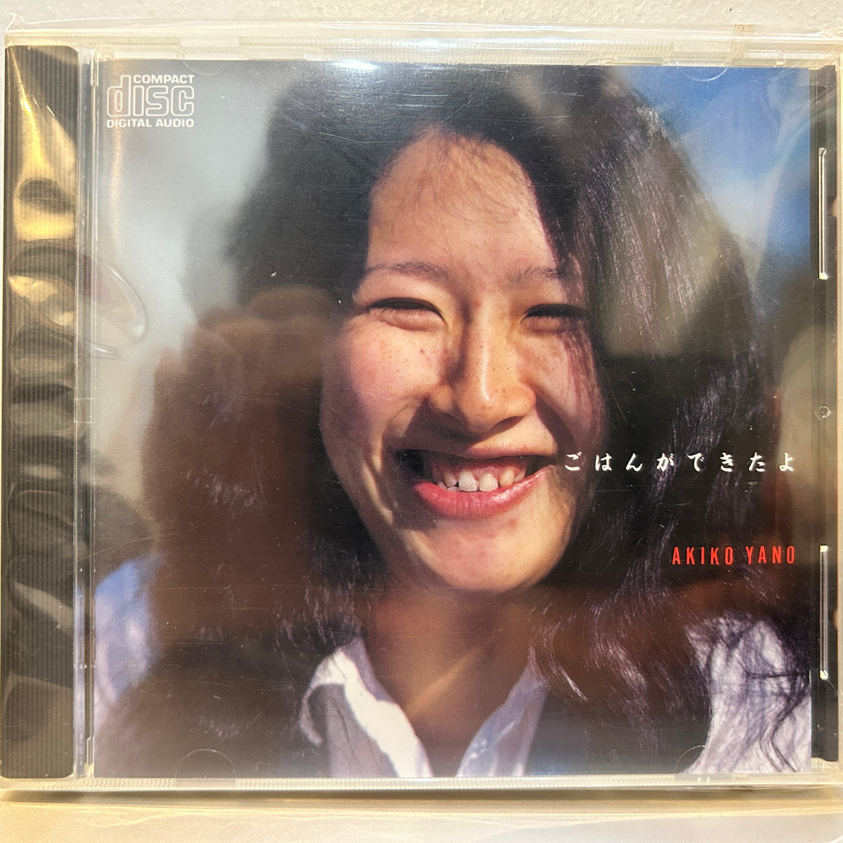 AKIKO YANO - ごはんができたよ