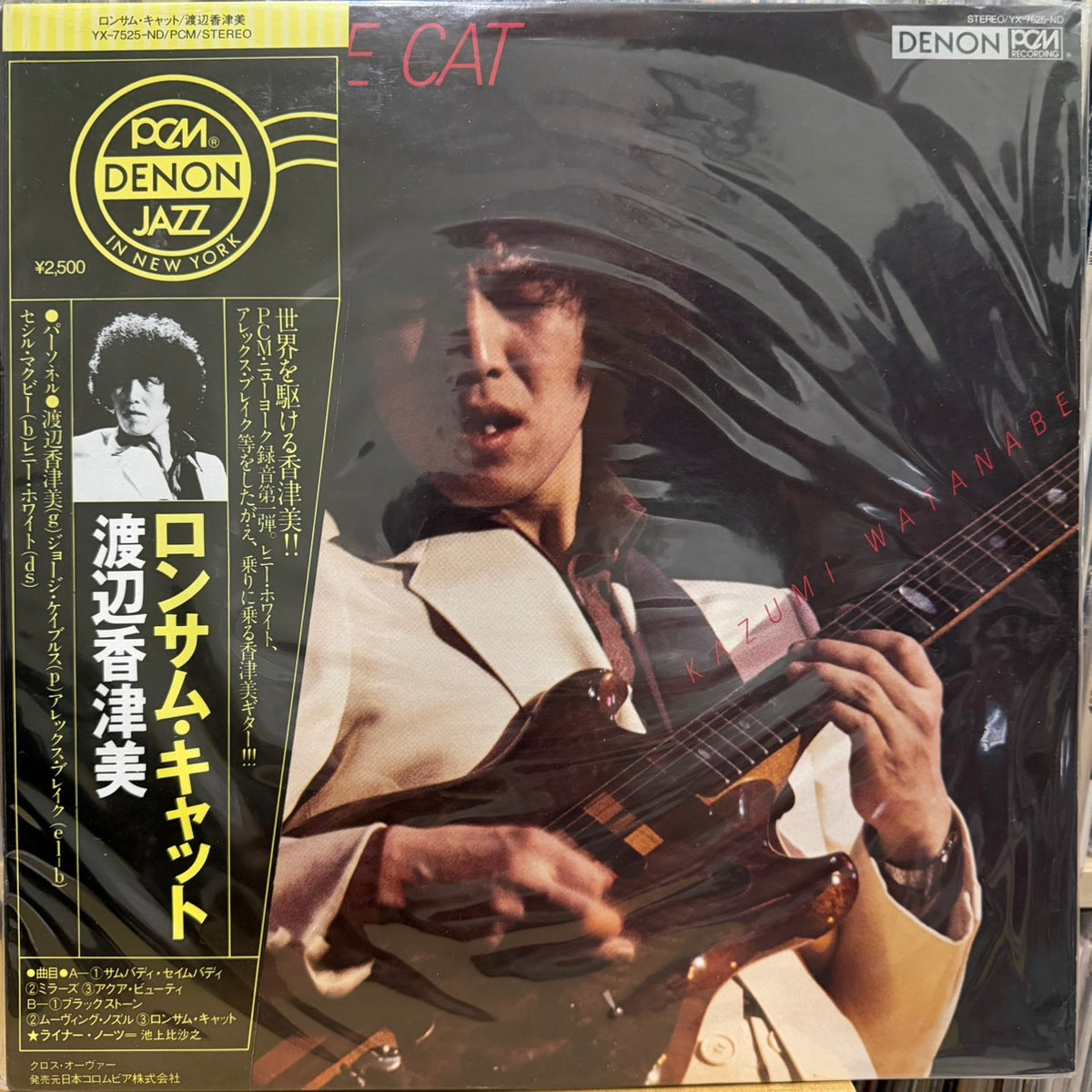KAZUMI WATANABE - LONESOME CAT