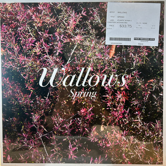 WALLOWS - SPRING