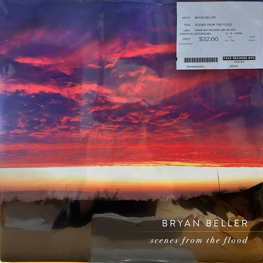 BRYAN BELLER - SCENES FROM THE FLOOD