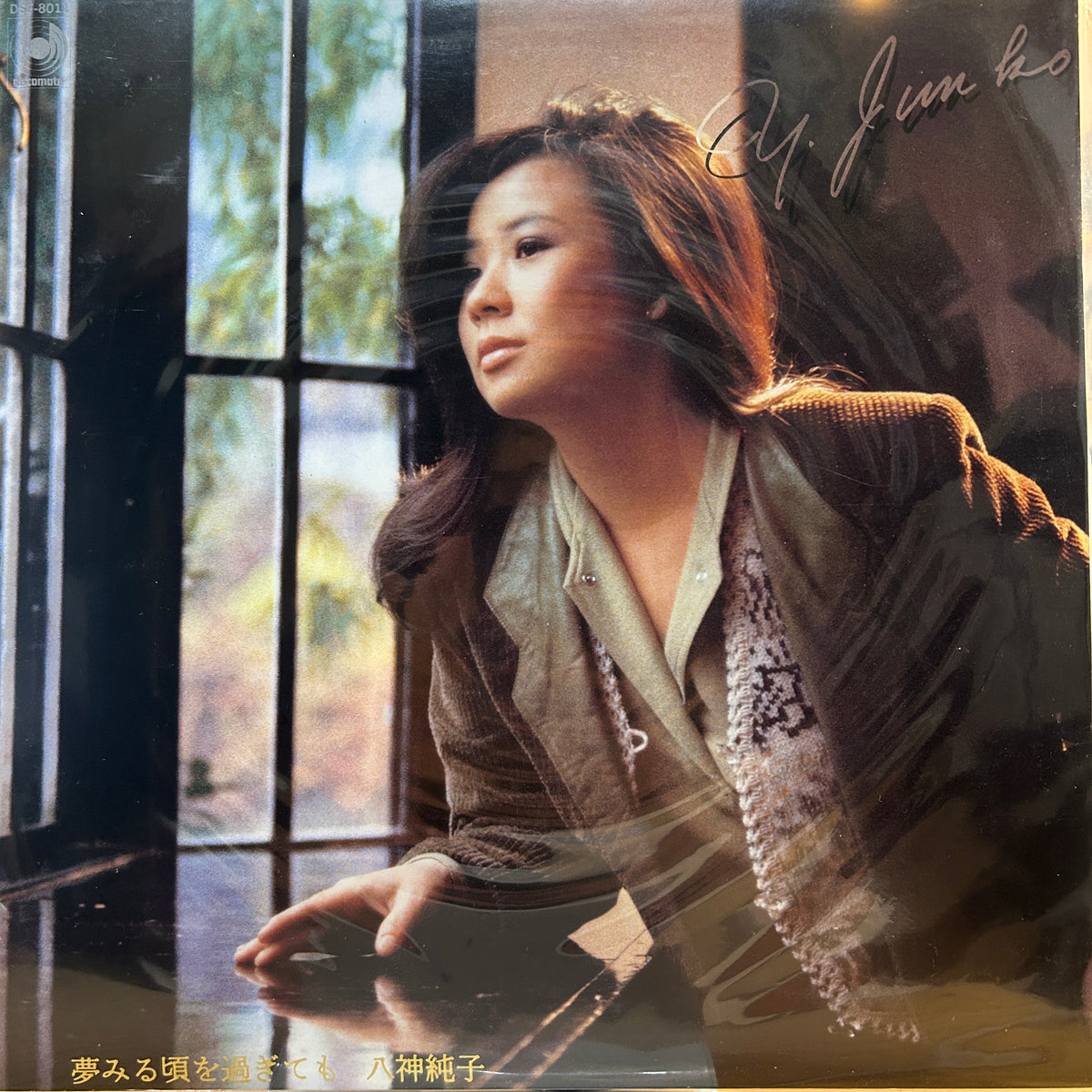 JUNKO YAGAMI - 夢見る頃を過ぎても